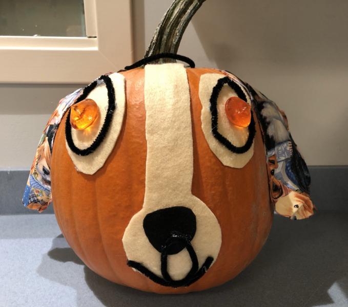 a-Pumpkin-dog